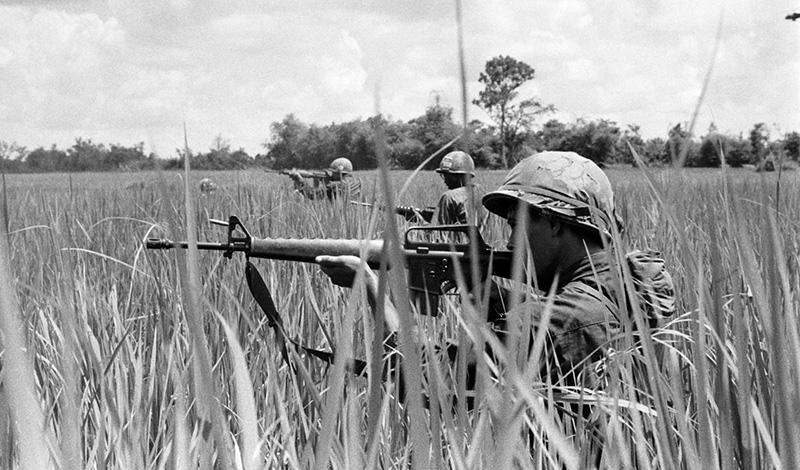 In the Brush of the Vietnam War